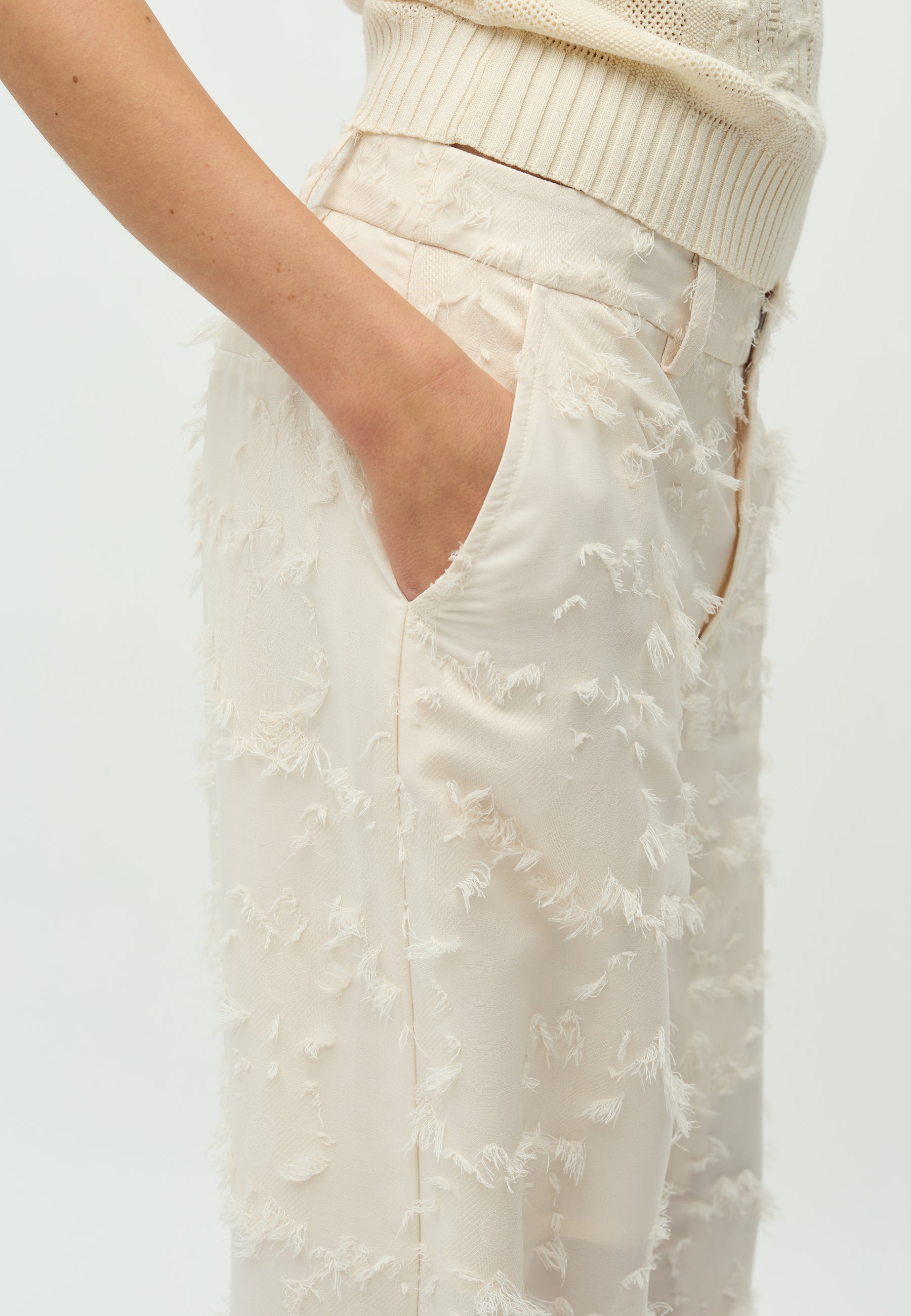 Cavia Long-M_Sugar_Model_3