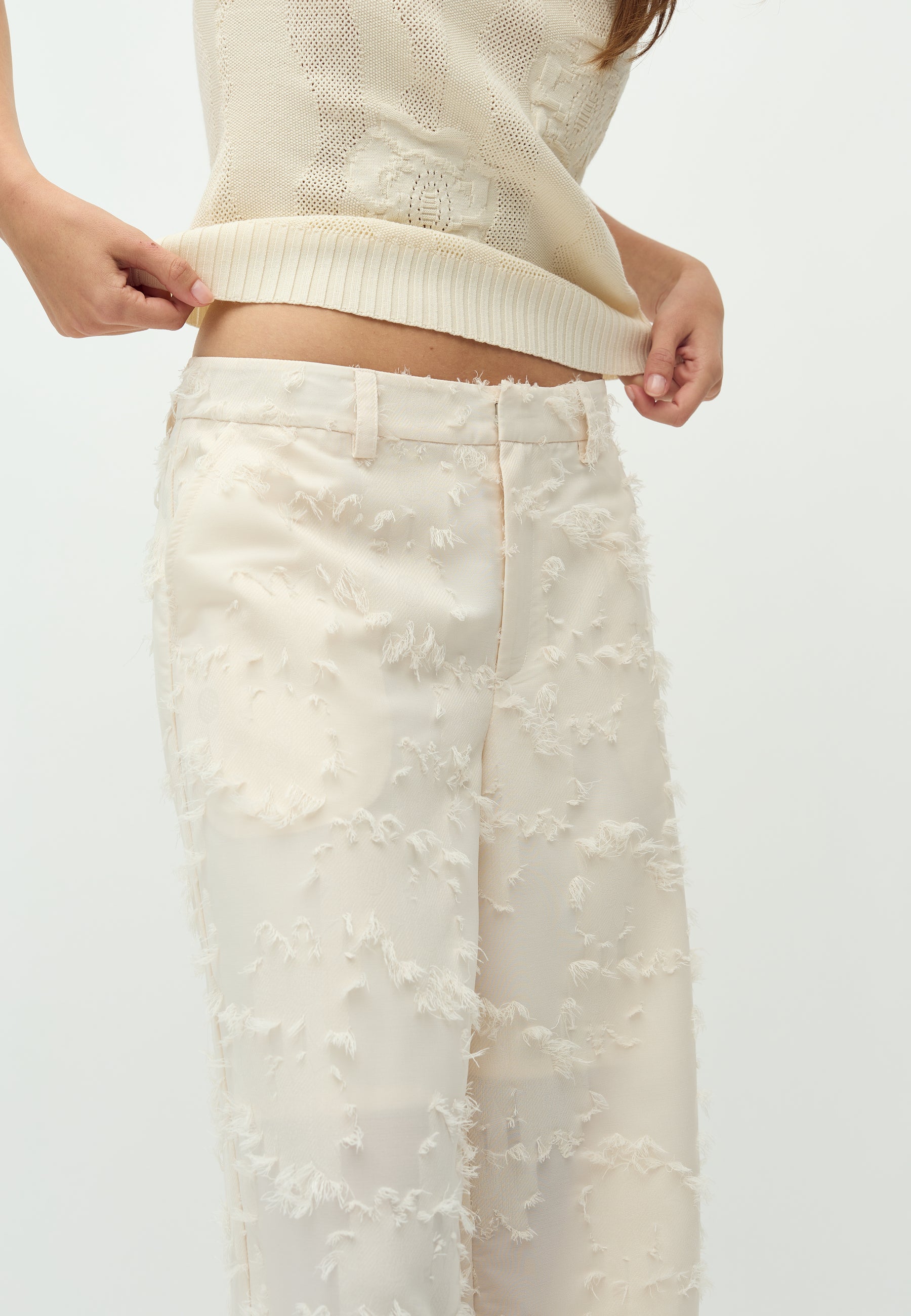 Cavia Long-M_Sugar_Model_4